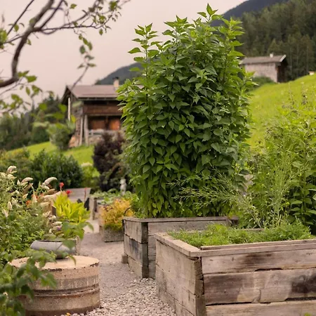 فندق Joerglerhof هينزنبرغ