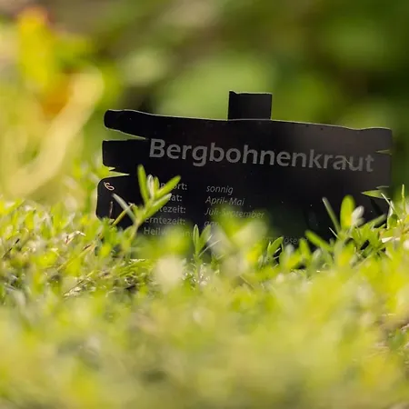 Ferienhotel Jorglerhof 4* Hainzenberg