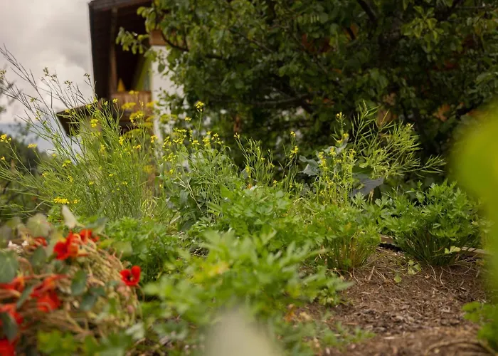 Joerglerhof Hotel Hainzenberg