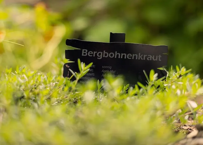 Joerglerhof 4* Hainzenberg