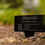 Ferienhotel Jorglerhof 4* Hainzenberg