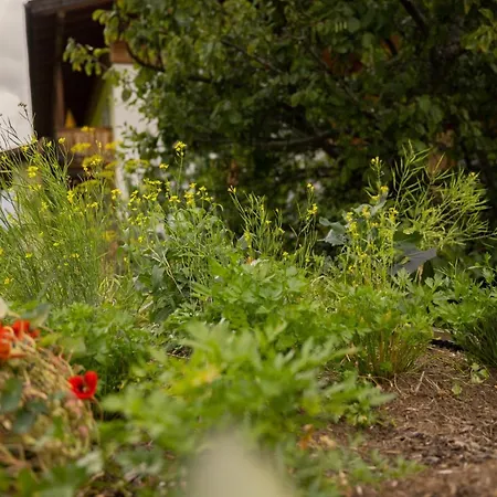 Joerglerhof Otel Hainzenberg