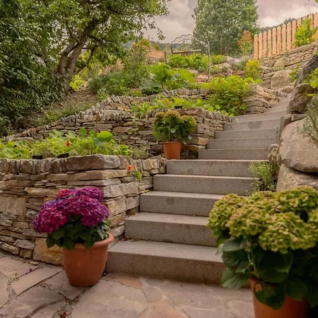 酒店 Joerglerhof 4*